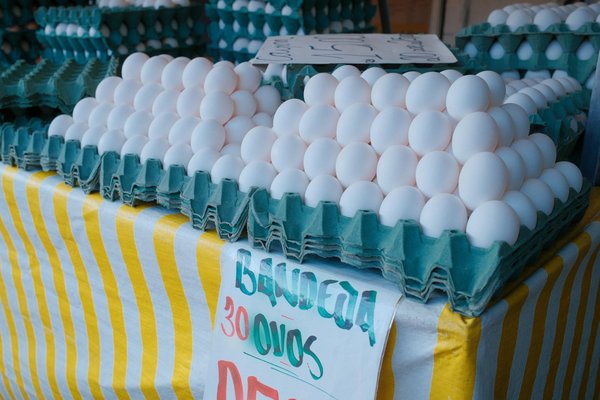 Transformer vos légumes préférés en salades minceur