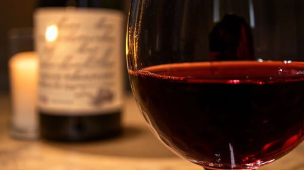 Le Gamay : l'ascension fulgurante dans l'univers des bourgognes
